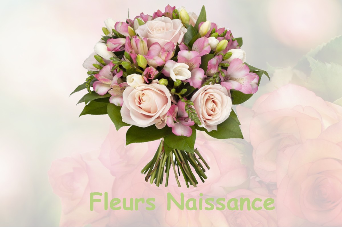 fleurs naissance SAINT-SULPICE-DE-MAREUIL
